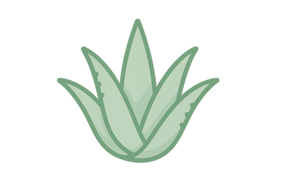icon-Aloe Verat-png-color-code-is-8cb174