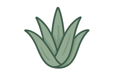 icon-Aloe Vera-png-color-code-is-8cb174