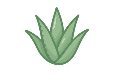 icon-Aloe Vera-png-color-code-is-8cb174