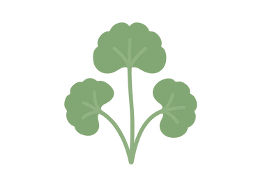 icon-centella Asiatica (cica)-png-color-code-is-8cb174
