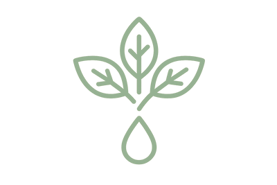 icon-tulsi extract png-color-code-is-8cb174